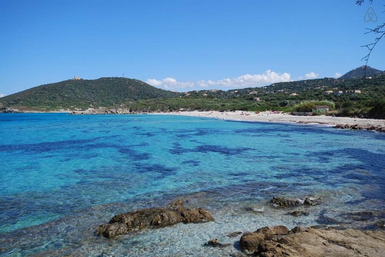 L'Orangeraie Calvi Centre A 300M De La Plage Et Du Port Parking Prive Экстерьер фото