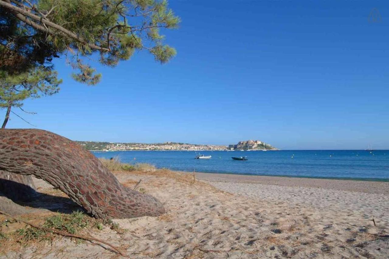 L'Orangeraie Calvi Centre A 300M De La Plage Et Du Port Parking Prive Экстерьер фото
